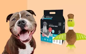 Catálogo Superpet | Nuevas ofertas para descubrir | 2025-10-27T00:00:00.000Z - 2025-11-10T00:00:00.000Z