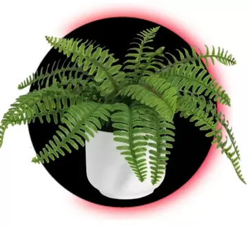 Catálogo Sodimac | Grandes descuentos en productos seleccionados | 2025-11-25T00:00:00.000Z - 2025-12-09T00:00:00.000Z