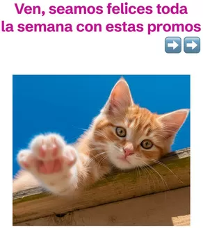 Catálogo Tambo | Nuevas ofertas para descubrir | 2025-11-26T00:00:00.000Z - 2025-12-10T00:00:00.000Z