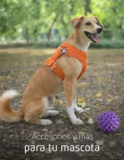 Catálogo Sodimac en Piura | Descuentos y promociones | 2026-01-27T00:00:00.000Z - 2026-02-10T00:00:00.000Z