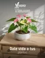 Catálogo Sodimac | Ofertas para cazadores de gangas | 2026-07-03T00:00:00.000Z - 2026-07-17T00:00:00.000Z