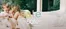 Catálogo Baby Cottons | Sale up to 50%off | 2026-07-09T00:00:00.000Z - 2026-07-31T00:00:00.000Z