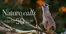 Catálogo RKF en Lambayeque | Nature calls up to 50%off  | 2026-07-23T00:00:00.000Z - 2026-08-22T00:00:00.000Z