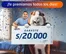 Catálogo Banco de Crédito del Perú | Te premiamos todos los dias  | 2026-09-08T00:00:00.000Z - 2026-10-31T00:00:00.000Z