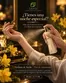 Catálogo Saysi en Villa Rica | Tienes una noche especial? | 2026-10-27T00:00:00.000Z - 2026-11-14T00:00:00.000Z