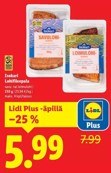 Lohifileepala