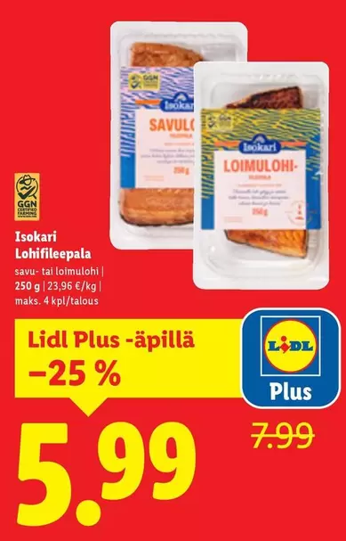 Lohifileepala