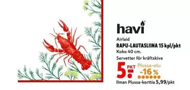 RAPU-LAUTASLIINA 15 kpl/pkt