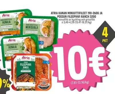 KANAN MINUUTTIFILEET JA POSSUN FILEEPIHVI RANCH