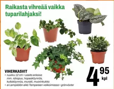 VIHERKASVIT