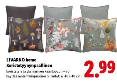 Koristetyynynpäällinen