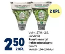 Ruustinnan tai Pehtoorin salaatti