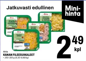 KANAN FILEESUIKALEET