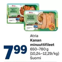 Kanan minuuttifileet