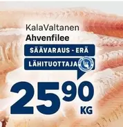 Ahvenfilee