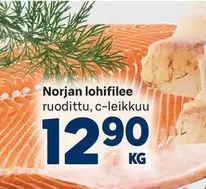 Norjan lohifilee