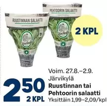 Ruustinnan tai Pehtoorin salaatti