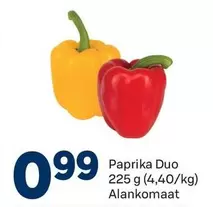 Paprika Duo