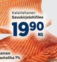 Savukirjolohifilee