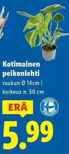 Peikonlehti