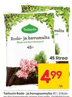 Rodo- ja havumulta