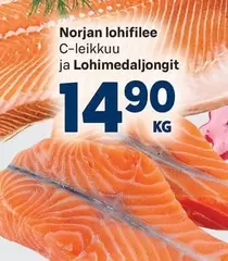 Norjan lohifilee
