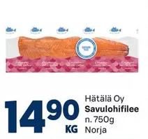 Savulohifilee
