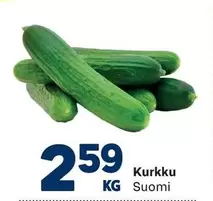 Kurkku