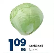 Keräkaali