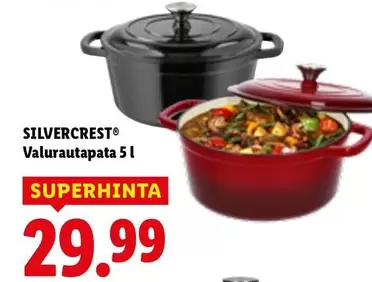 Valurautapata 5 l