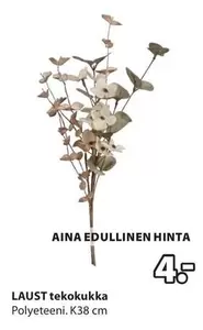 LAUST tekokukka