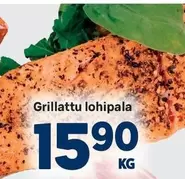 Grillattu lohipala