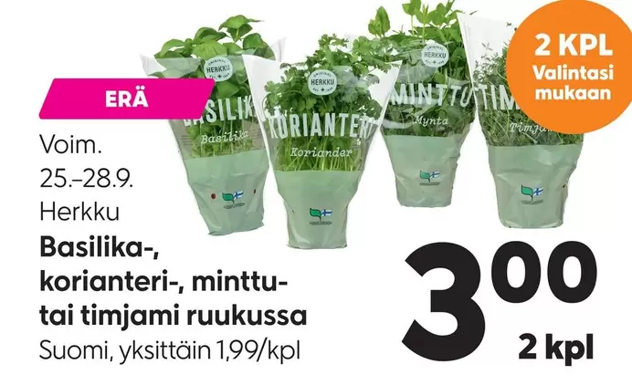 Basilika-, korianteri-, minttu- tai timjami ruukussa