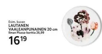 LAUTANEN VAALEANPUNAINEN 20 cm