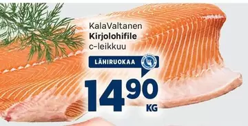 Kirjolohifile