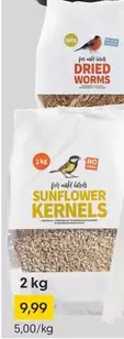 SUNFLOWER KERNELS