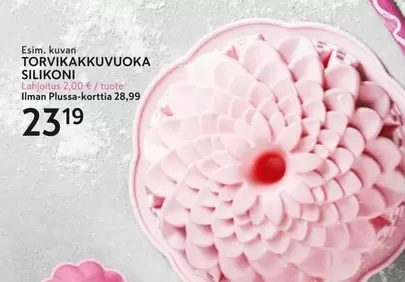TORVIKAKKUVUOKA