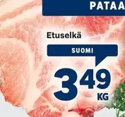 Etuselkä