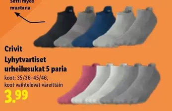 Lyhytvartiset urheilusukat 5 paria