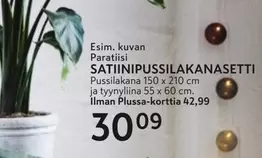 SATIINIPUSSILAKANASETTI