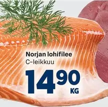 Norjan lohifilee
