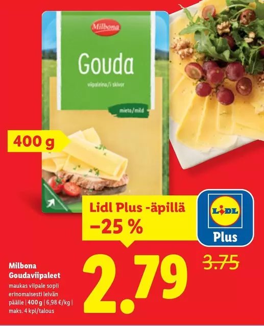 Goudaviipaleet