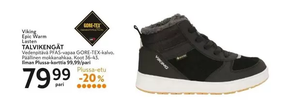 TALVIKENGÄT