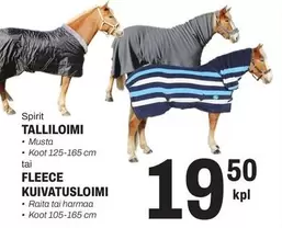 Spirit - TALLILOIMI, KUIVATUSLOIMI