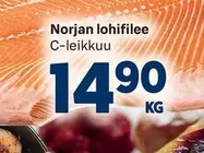 Norjan lohifilee