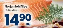 Norjan lohifilee