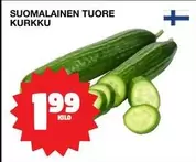 SUOMALAINEN TUORE KURKKU