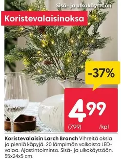 Koristevalaisin Larch Branch