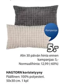 HAGTORN koristetyyny