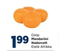 Mandariini Nadorcott